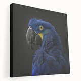Vibrant canvas wall art featuring a colorful parrot design, showcasing intricate details and textures, perfect for home decor enthusiasts and bird lovers.