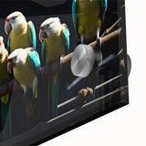 Vibrant close-up of a colorful parrot wall art design on acrylic glass, showcasing intricate details and vivid hues, perfect for enhancing modern home decor.