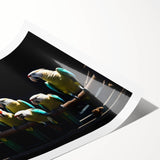 Vibrant rolled print of colorful parrots in a lush tropical setting, showcasing intricate details and vivid hues, perfect for bird lovers and home decor enthusiasts.