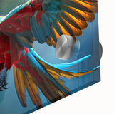 Vibrant close-up of a stunning wall art collection featuring colorful parrots on acrylic glass, showcasing intricate details and vivid hues, perfect for bird enthusiasts.