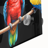 Close-up of vibrant wall art featuring a colorful parrot design, showcasing intricate details and vivid colors on acrylic glass, ideal for home decor.