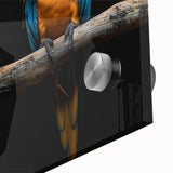 Vibrant close-up of a wall art piece featuring colorful parrots on acrylic glass, showcasing intricate details and vivid hues, perfect for enhancing any space.