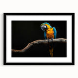 Framed wall art showcasing a vibrant parrot design, featuring a black mat and sleek frame, ideal for adding a tropical touch to home decor.