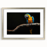Framed wall art featuring a vibrant collection of parrot designs in various colors, elegantly displayed with a silver mat and frame, perfect for home decor.