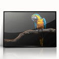 Framed wall art featuring a vibrant parrot design in a black frame, showcasing colorful birds against a white background, perfect for enhancing any room's decor.