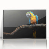 Framed wall art featuring a vibrant parrot design in bold colors, showcasing tropical wildlife against a white background, perfect for enhancing modern decor.