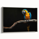 Framed wall art featuring a vibrant collection of parrot designs on canvas, showcasing intricate details and a sleek silver frame, ideal for brightening living spaces.