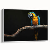 Framed canvas wall art featuring a colorful design of tropical parrots, set against a white background, perfect for vibrant home decor and nature enthusiasts.