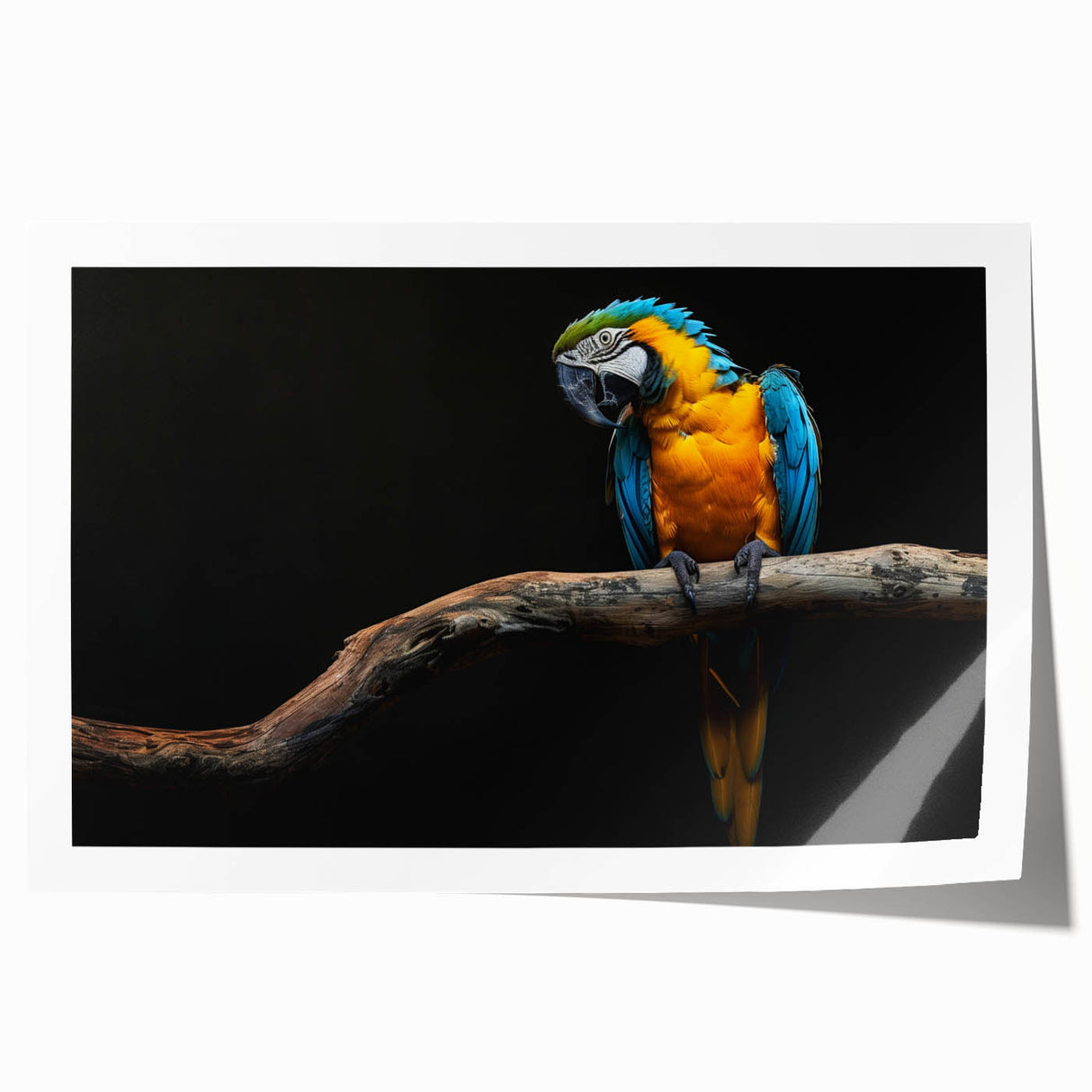 Vibrant rolled print showcasing a colorful parrot design in a tropical setting, perfect for home decor or bird enthusiasts, packaged securely for delivery.