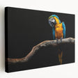 Vibrant stretched canvas wall art featuring a colorful parrot design, showcasing detailed feathers and a tropical background, perfect for enhancing living spaces.