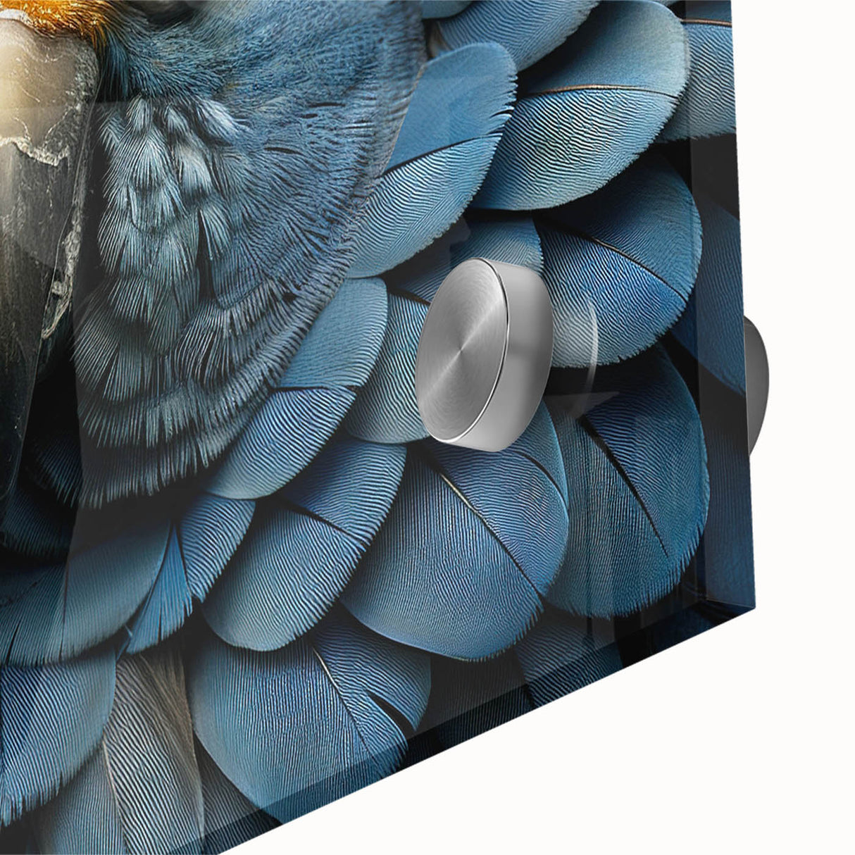 Close-up of vibrant acrylic wall art featuring colorful parrots in a lush tropical setting, perfect for adding a vibrant touch to home decor.