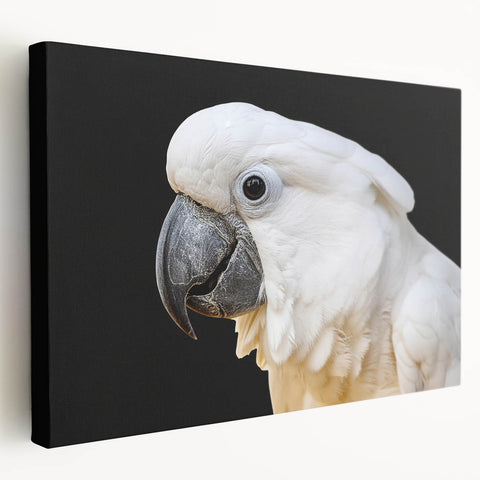 Colorful stretched canvas wall art showcasing a vibrant design of various parrots perched on branches, ideal for home decor and bird lovers.