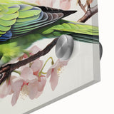Vibrant close-up of a colorful parrot-themed acrylic wall art piece, showcasing intricate details and bright hues, perfect for animal lovers and home decor.