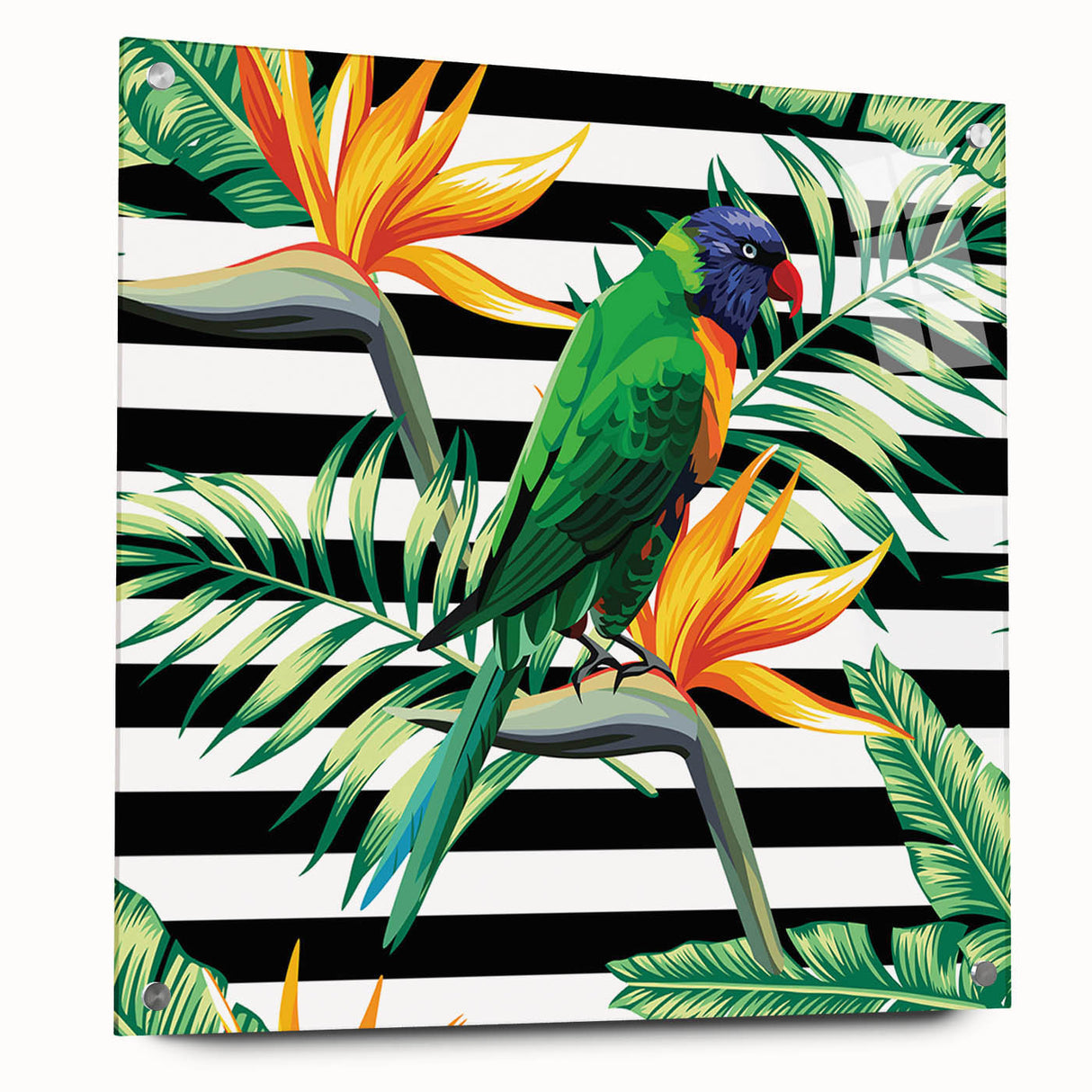 Colorful acrylic wall art collection featuring a vibrant parrot design, displayed from a side view with clear pins for easy mounting, perfect for bird lovers.
