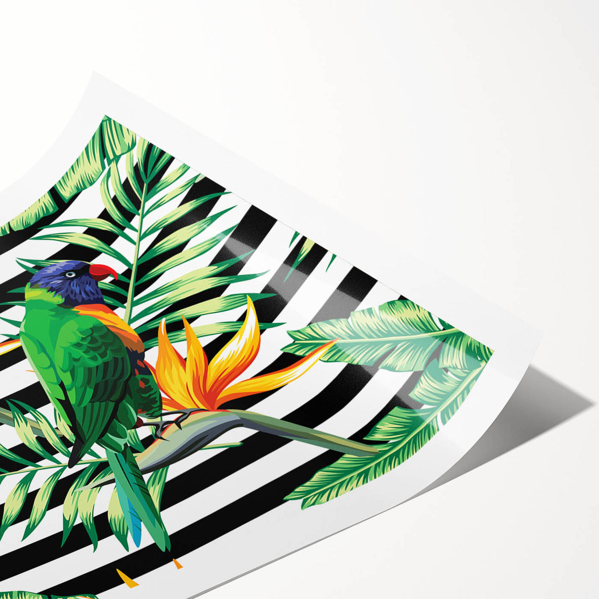 Colorful rolled print showcasing a vibrant design of tropical birds and parrots, perfect for enhancing home decor with a lively, exotic touch.