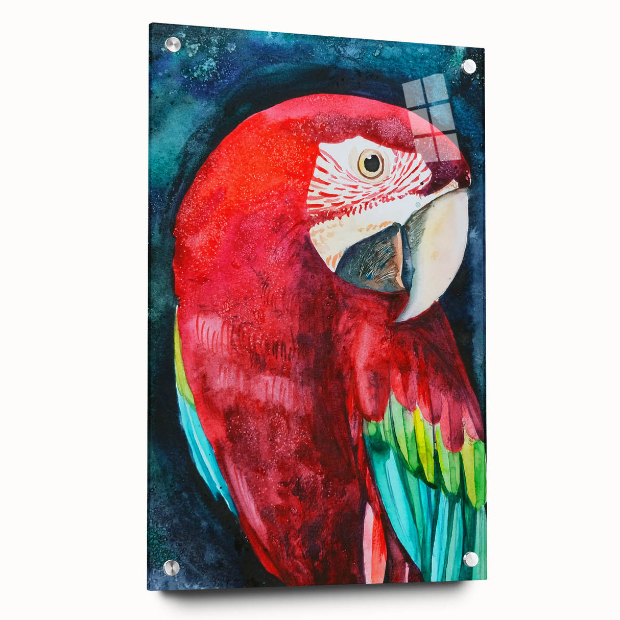 Vibrant acrylic wall art collection showcasing colorful parrot designs, presented in a modern side view with decorative pins, perfect for enhancing interior decor.