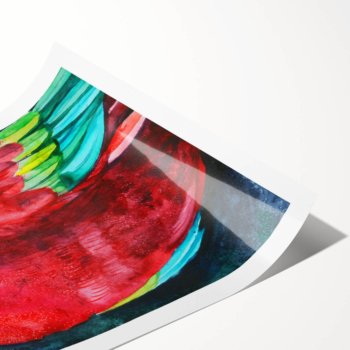 Vibrant rolled print showcasing a colorful collection of tropical birds and parrots, perfect for wall art enthusiasts, presented in a protective cardboard tube.