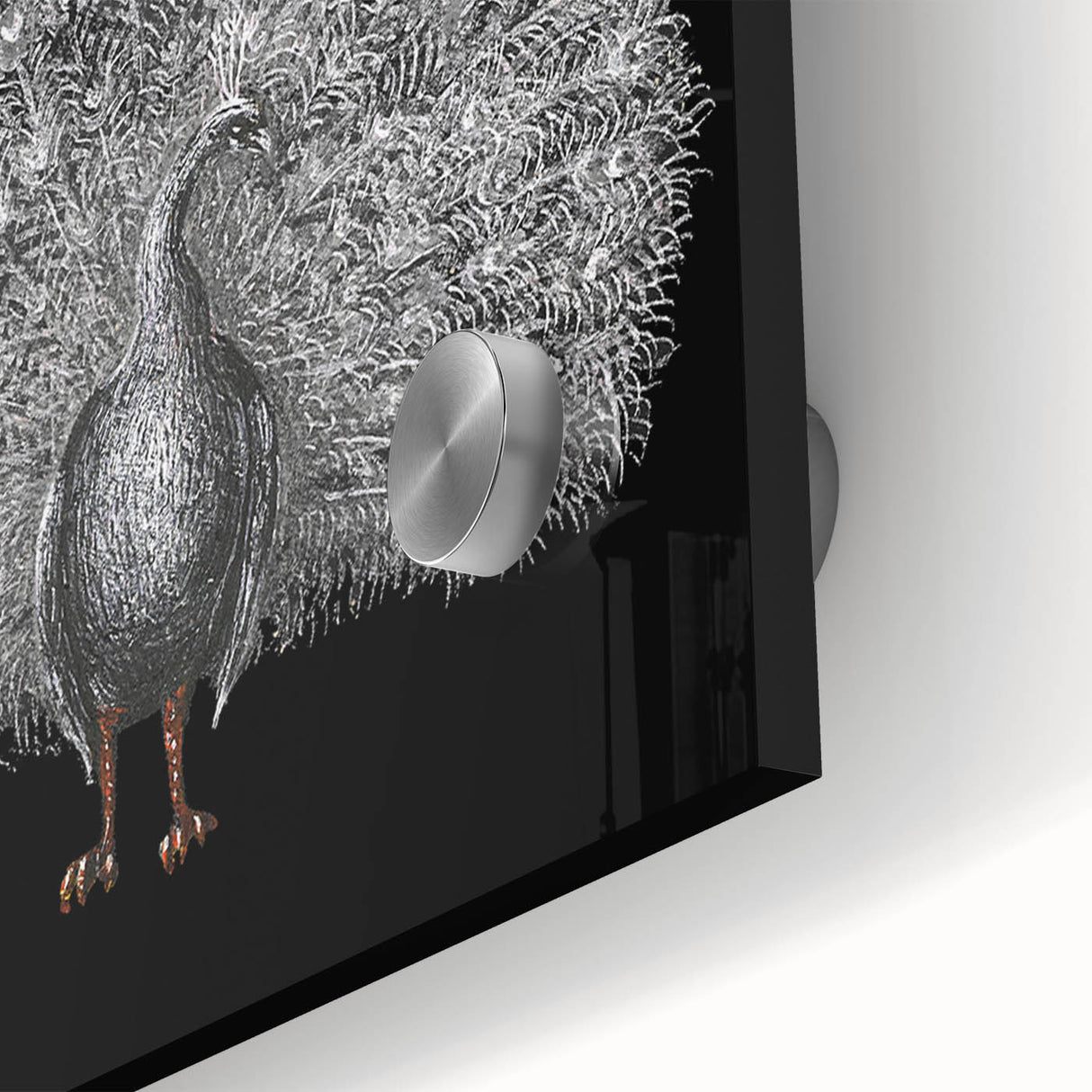 Close-up of vibrant peacock design wall art, showcasing intricate details in acrylic glass. Ideal for modern decor, enhancing living spaces with colorful elegance.