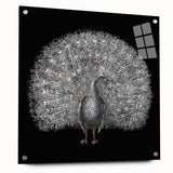 Vibrant acrylic glass wall art collection showcasing a stunning peacock design, side view with pins for easy mounting, perfect for modern decor.