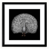 Framed wall art featuring an intricate peacock design, showcasing vibrant colors against a sleek black mat, ideal for modern home decor and art enthusiasts.