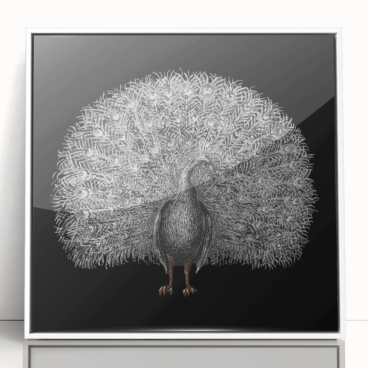 Framed wall art featuring a vibrant peacock design on a white background, showcasing intricate details and bold colors, perfect for enhancing modern home decor.