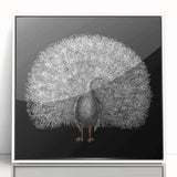 Framed wall art featuring a vibrant peacock design on a white background, showcasing intricate details and bold colors, perfect for enhancing modern home decor.