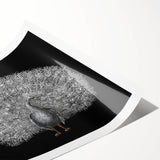 Vibrant peacock wall art design print showcasing intricate feather patterns in blue and green hues, ideal for home decor or artistic display.