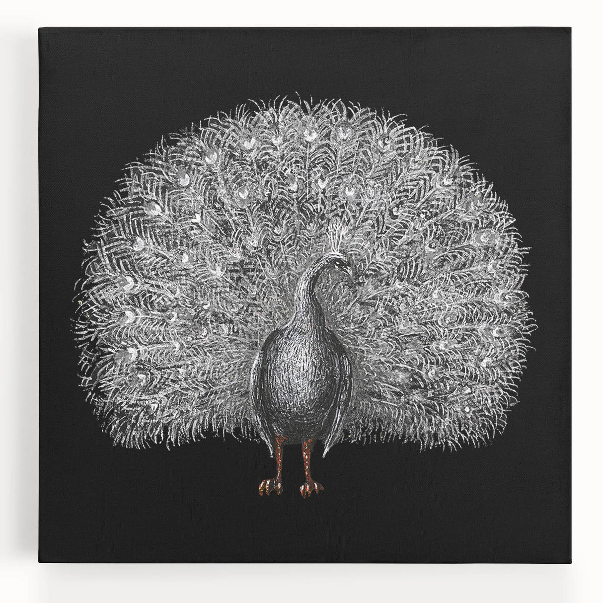 Vibrant peacock design stretched canvas wall art showcasing intricate feathers in rich blues and greens, perfect for enhancing modern home decor.