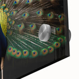 Close-up view of a vibrant peacock design wall art piece, showcasing intricate details and bold colors on acrylic glass, perfect for modern decor.