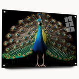 Vibrant peacock design wall art collection displayed from a side view, featuring acrylic glass finish and stylish pins for easy hanging, perfect for home decor.