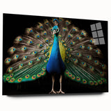 Elegant peacock design wall art collection displayed in acrylic glass, showcasing vibrant colors and intricate details from a side view, ideal for modern decor.