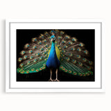 Elegant wall art piece showcasing a peacock design in vibrant colors, framed with a white mat. Ideal for enhancing home decor with a touch of nature-inspired style.