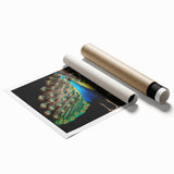 Vibrant peacock-inspired wall art design showcased in a rolled print format, featuring intricate patterns and rich colors, perfect for home decor. Ideal for art enthusiasts.