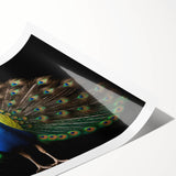 Vibrant peacock design wall art print featuring rich blues and greens, rolled and packaged in a protective tube, perfect for home decor enthusiasts.