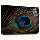 Vibrant peacock design wall art collection displayed with an acrylic glass side view, showcasing detailed colors and textures, perfect for modern decor.