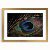 Peacock-themed wall art framed in gold, showcasing vibrant colors and intricate feather designs, ideal for enhancing home decor with a touch of elegance.