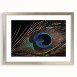 Elegant wall art featuring a peacock design in a silver frame with a mat, perfect for adding a touch of sophistication to home decor or gallery displays. The vibrant colors and intricate details of the peacock create a focal point, enhancing any interior space with its artistic flair. Ideal for art enthusiasts seeking unique and stylish wall decor options.