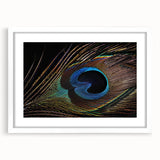 Framed wall art featuring an elegant peacock design in vibrant colors, displayed with a white mat, ideal for enhancing home decor or gallery walls.