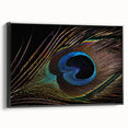 Framed canvas wall art featuring an intricate peacock design in vibrant colors, displayed in a sleek black frame, ideal for modern home decor.