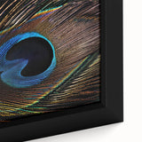 Close-up of a vibrant peacock-themed wall art canvas featuring intricate feather designs in shades of blue and green, elegantly framed for a stylish decor accent.
