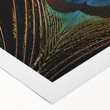 Vibrant peacock-themed wall art on rolled canvas, showcasing intricate feather details and rich colors, perfect for enhancing home decor with a touch of elegance.