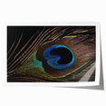 Vibrant peacock design wall art print showcasing intricate feather patterns in rich blues and greens, rolled for easy shipping and display. Perfect for adding a touch of elegance to home decor.