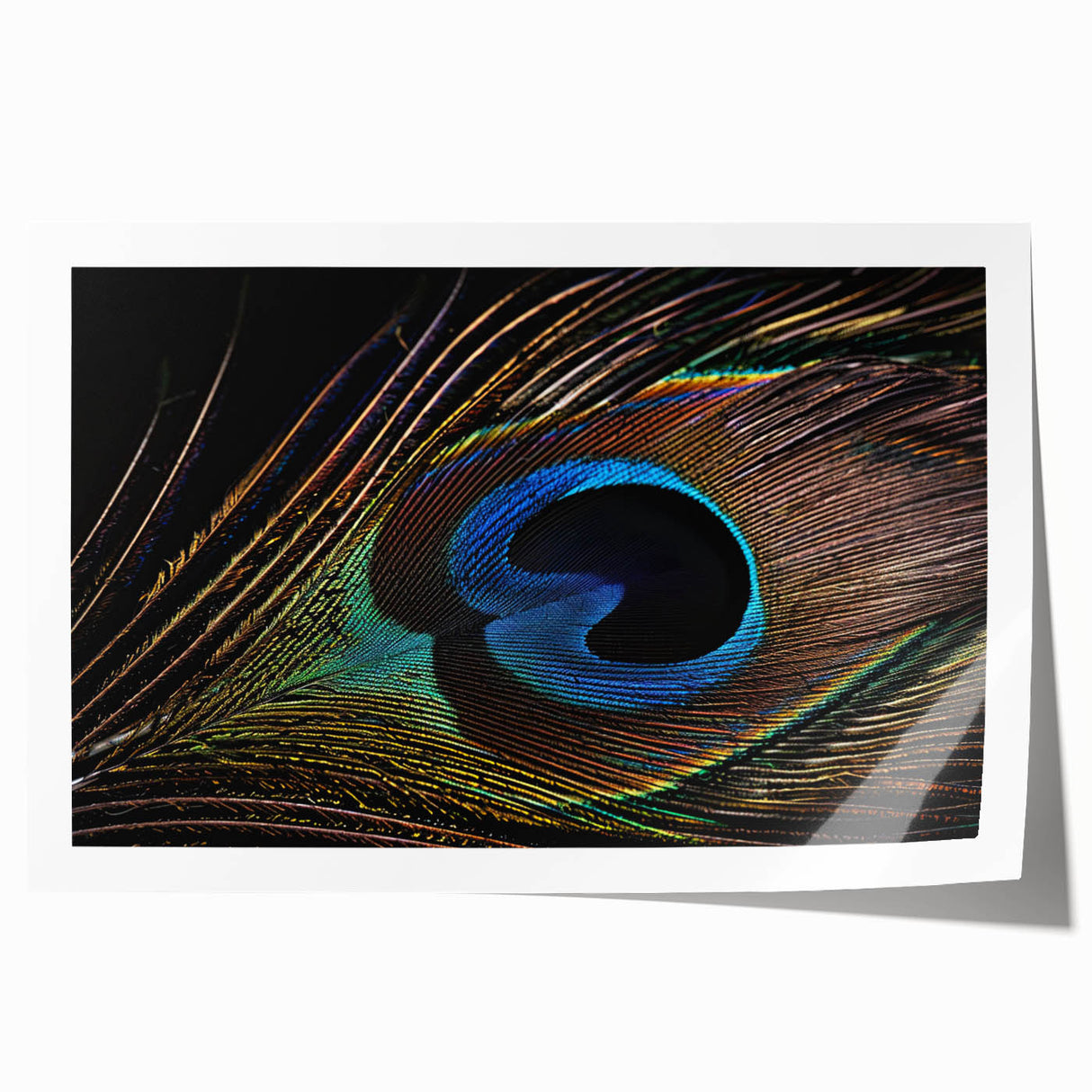 Vibrant peacock design wall art print showcasing intricate feather patterns in rich blues and greens, rolled for easy shipping and display. Perfect for adding a touch of elegance to home decor.