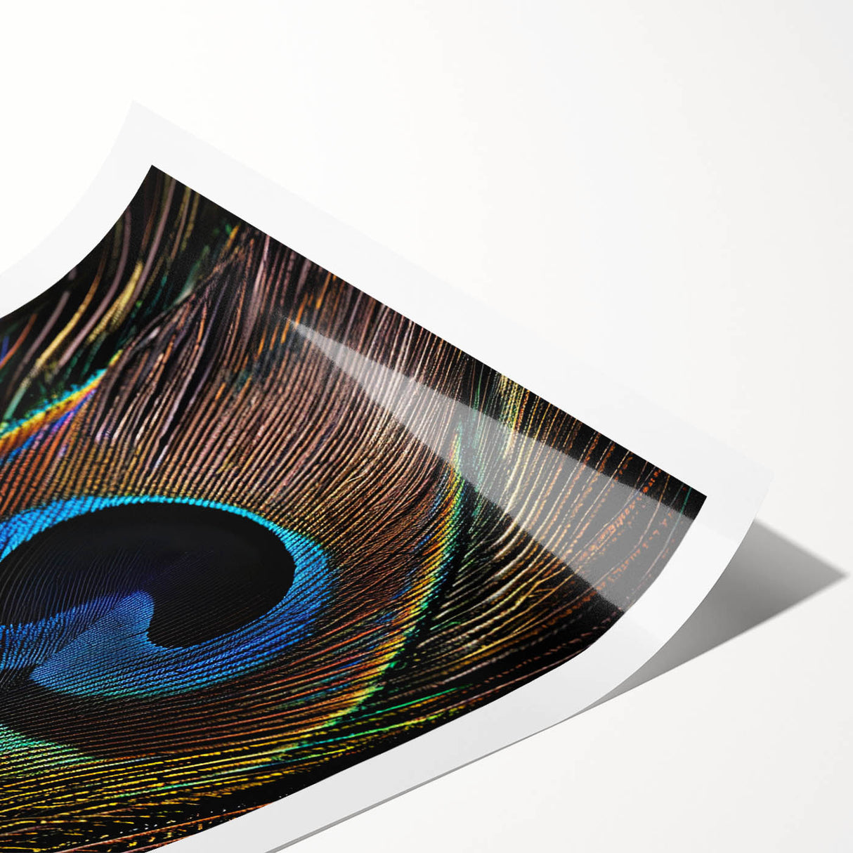 Vibrant peacock design wall art print showcasing intricate feather details in rich blues and greens, ideal for home decor or artistic displays.