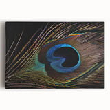 Vibrant peacock design wall art on stretched canvas, showcasing intricate details and rich colors, ideal for adding elegance to modern home decor.