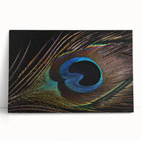 Vibrant peacock design stretched canvas wall art, showcasing intricate feather details in rich blues and greens, perfect for enhancing home decor.