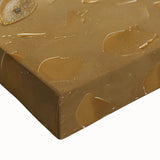 Close-up of a vibrant peacock design on stretched canvas wall art, showcasing rich colors and intricate details, perfect for enhancing modern decor.