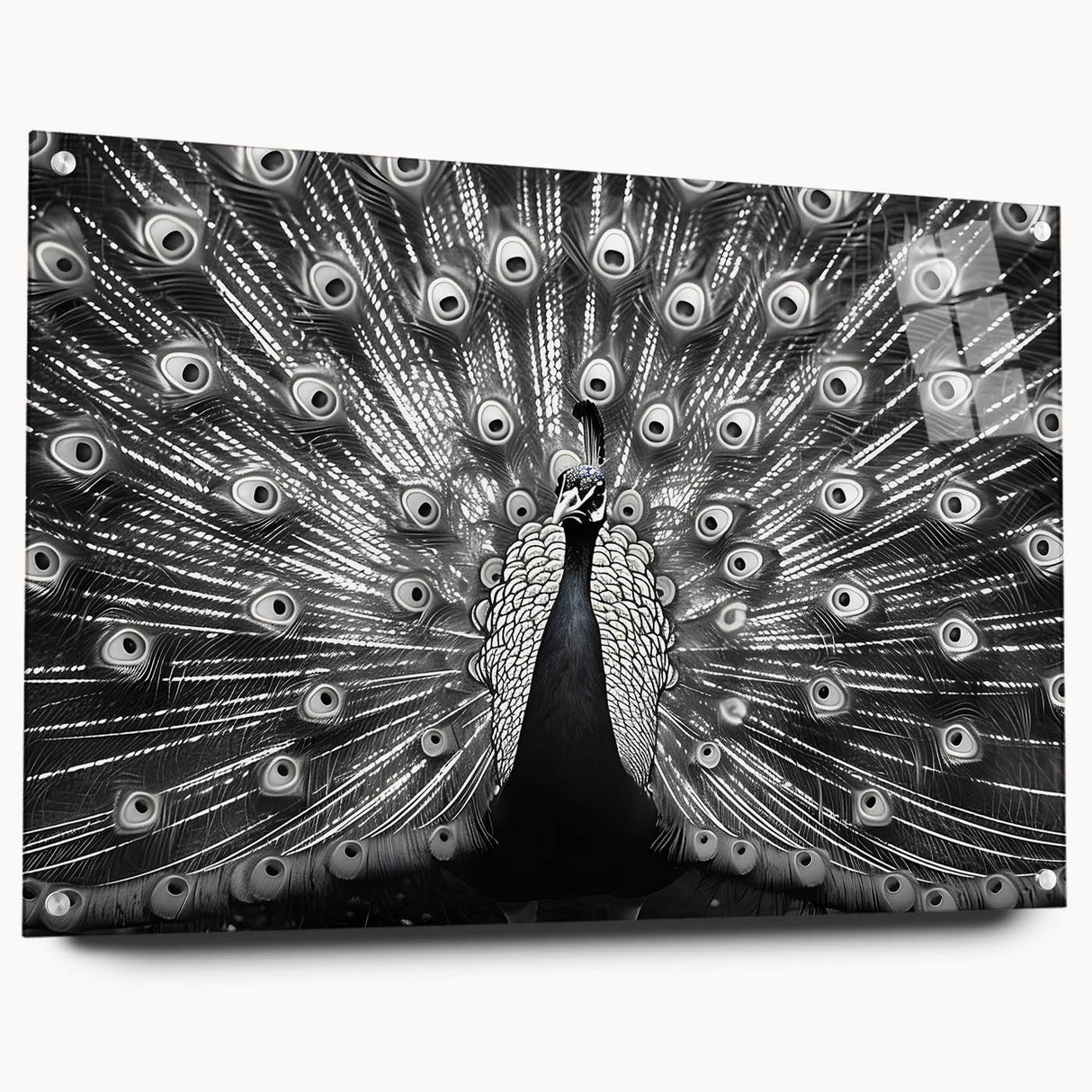 Elegant peacock design wall art made of acrylic and glass, showcasing vibrant colors and intricate details, displayed in a side view with decorative pins. Perfect for adding a touch of sophistication to any room's decor.