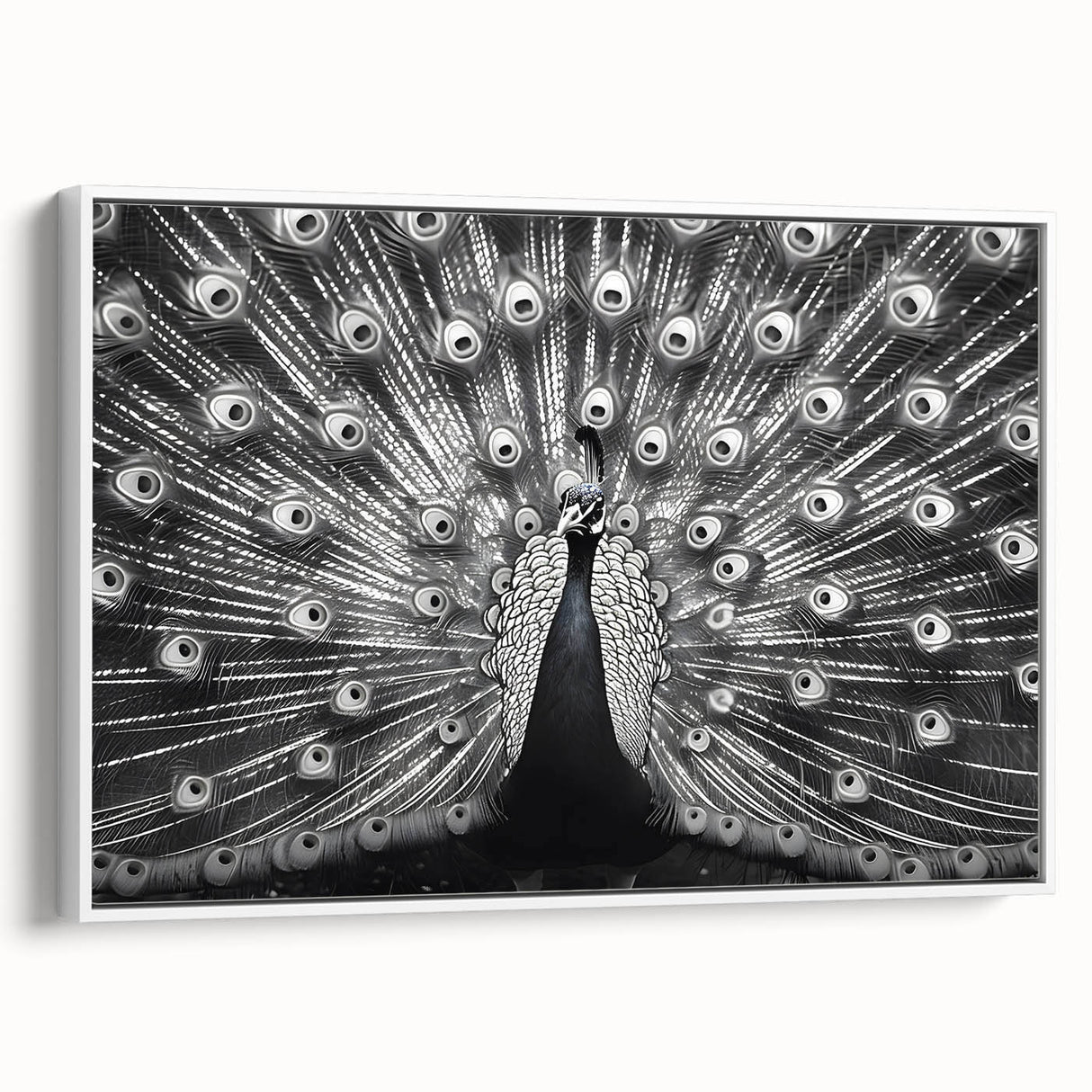 Framed canvas wall art showcasing a vibrant peacock design in rich blues and greens, set against a white background, perfect for adding elegance to any room decor.