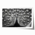 Vibrant rolled print of a peacock design wall art, showcasing intricate feather details and rich colors, perfect for home decor or art collection.